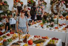 OBRAZEM: Zámecký park ve Slavkově u Brna přivítal podzim příjemným způsobem OBRAZEM: Zámecký park ve Slavkově u Brna přivítal podzim příjemným způsobem